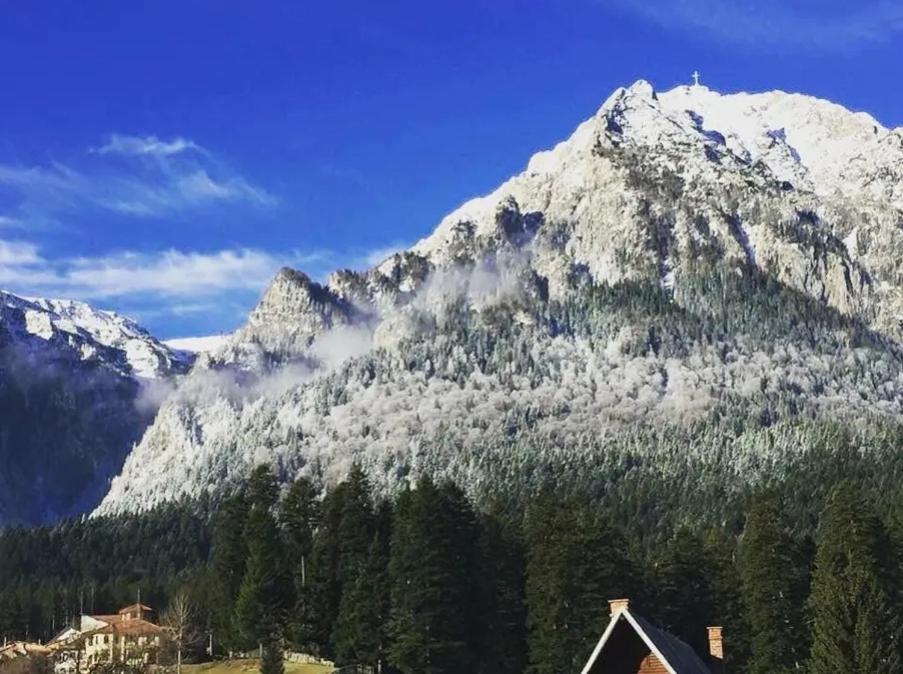 Vila Bianca Buşteni Esterno foto