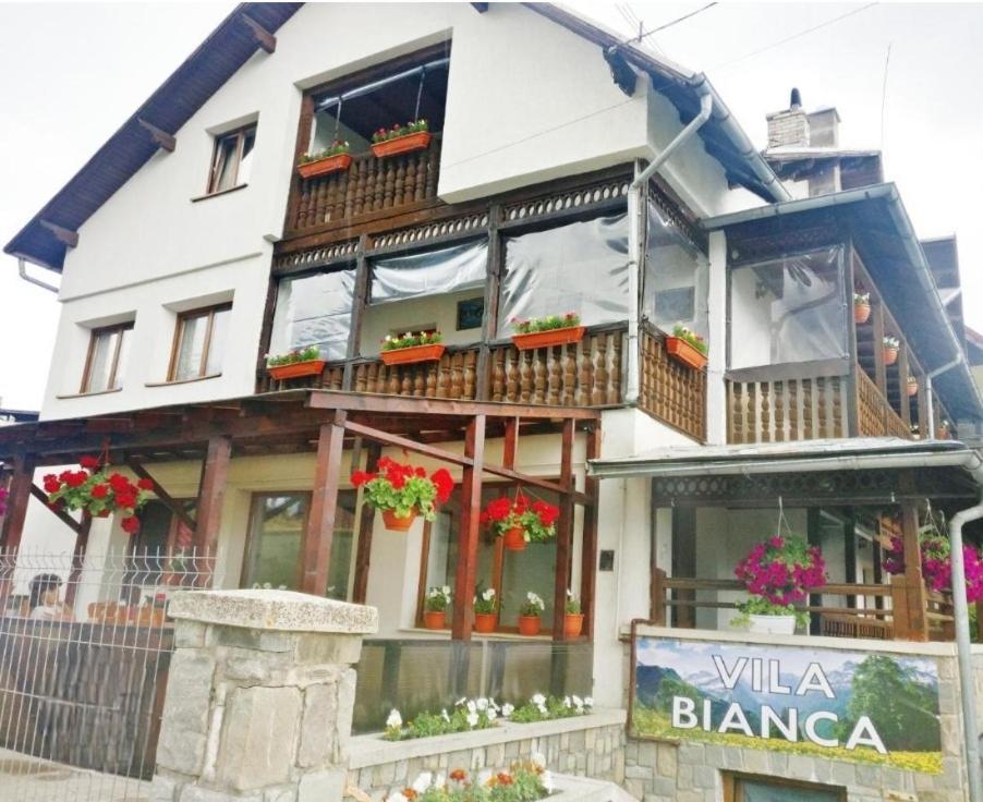Vila Bianca Buşteni Esterno foto
